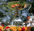 FedEx Cup Trophy