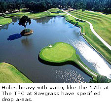 tpc-sawgrass-golf17.jpg